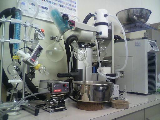 2010072117500000.jpg (39342 �o�C�g)