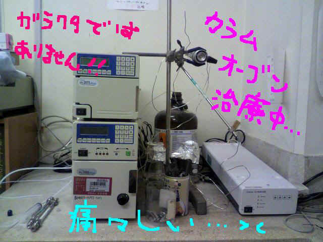 2010112713000001.jpg (54798 �o�C�g)