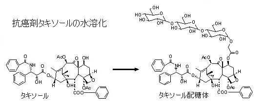 taxol.jpg (20513 バイト)