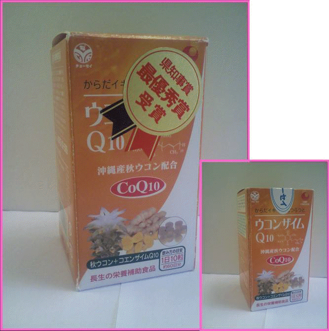 ukon.jpg (43229 バイト)